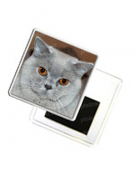 ФотоМагнит