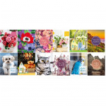 Альбом 10x15/96