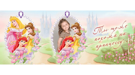 Princ_1 +15.00 грн.